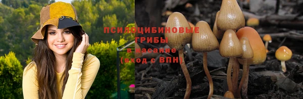 spice Верхний Тагил