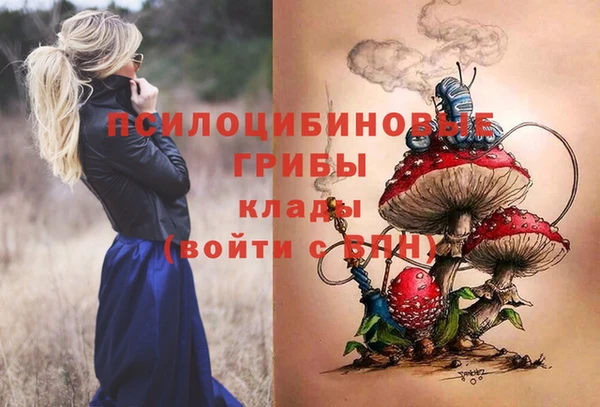 spice Верхний Тагил