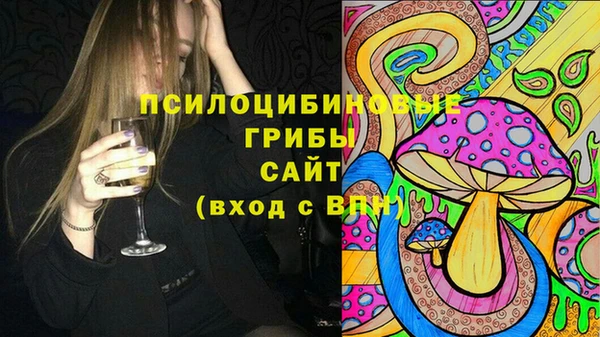 spice Верхний Тагил